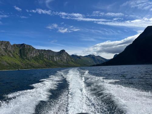 a view from the back of a boat in the water at Fantastic house with seafront property in Gryllefjord in Gryllefjord