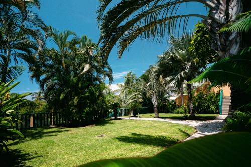 Κήπος έξω από το Bungalows Oasis