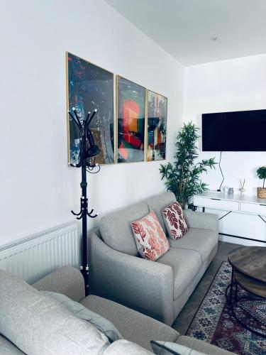 a living room with two couches and a tv at Burton Urban Apartment in Burton upon Trent