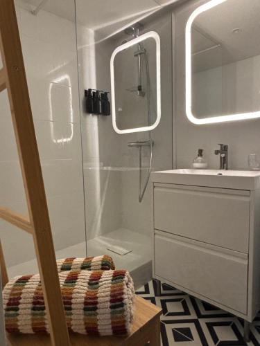 une salle de bains avec douche, lavabo et miroir dans l'établissement La cour d Anvers, à Dieppe