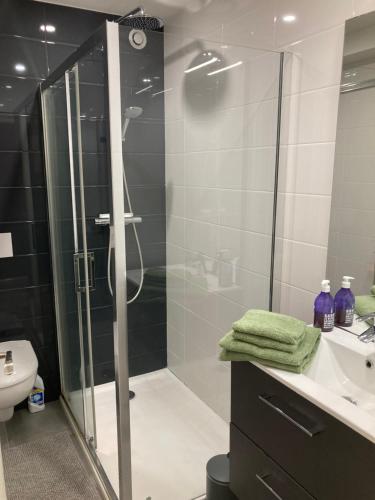 a bathroom with a shower and a sink and a toilet at Résidence le 46 in Concarneau