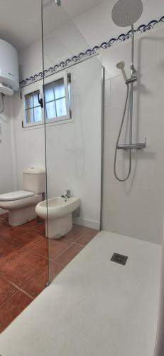 a bathroom with a shower and a toilet and a sink at puerto de la cruz playa jardin in Puerto de la Cruz