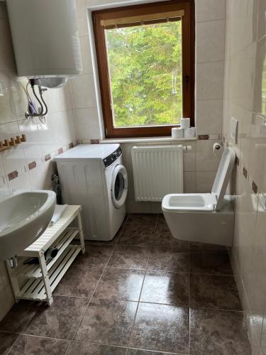 a bathroom with a sink and a washing machine at Triglav NP Apartment - above Bled in Zgornje Gorje