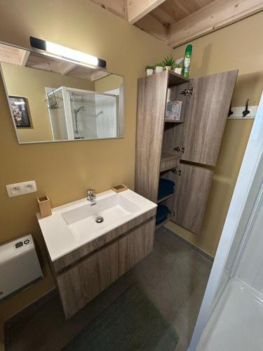 a bathroom with a sink and a mirror at Châlet des Cerfs Durbuy in Somme-Leuze