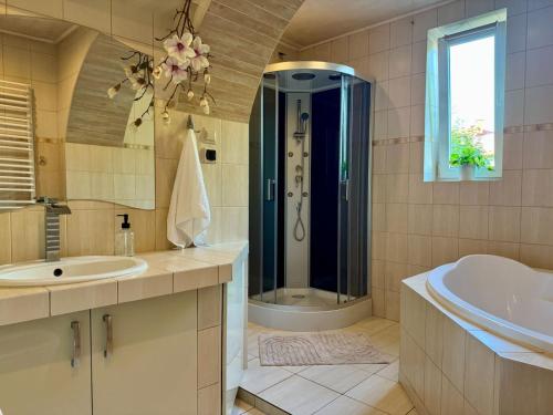 Ένα μπάνιο στο Apartamenty Podlesie