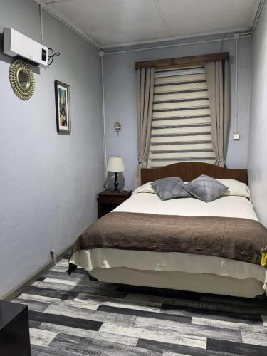 a bedroom with a large bed and a window at Alojamiento Emilia House in Punta Arenas