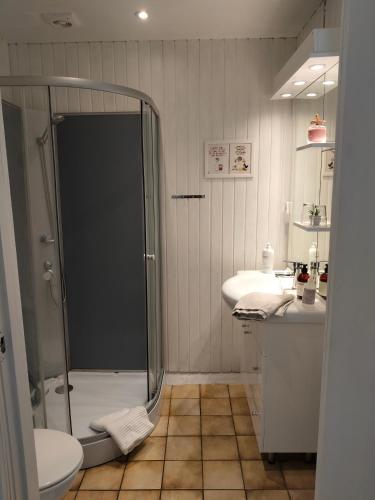 a bathroom with a shower and a toilet and a sink at Håstrups Natur Perle in Faaborg