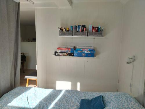 a bedroom with a bed and books on a wall at Håstrups Natur Perle in Fåborg