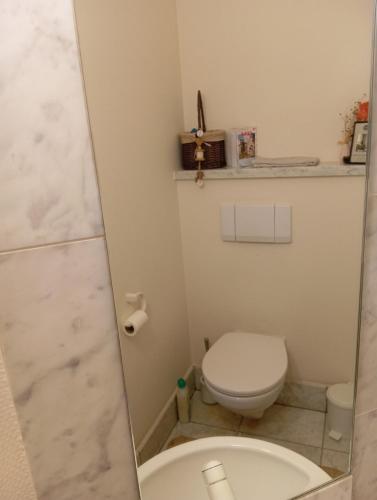 a small bathroom with a toilet and a mirror at Lit-selotje in Genk