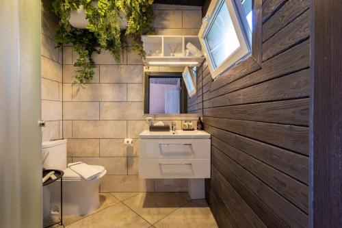 a bathroom with a sink and a toilet and a mirror at Villa Valery - pajūrio dvasia dvelkianti oazė in Kupriai