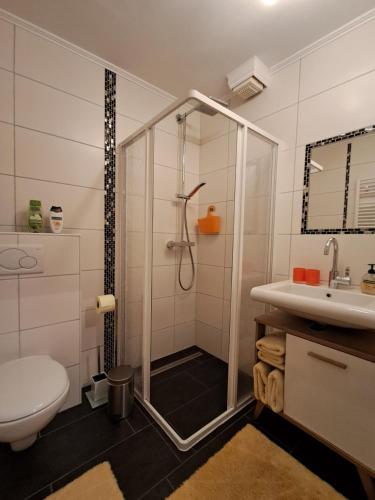 a bathroom with a shower and a toilet and a sink at Haus Franziska in Hallstatt