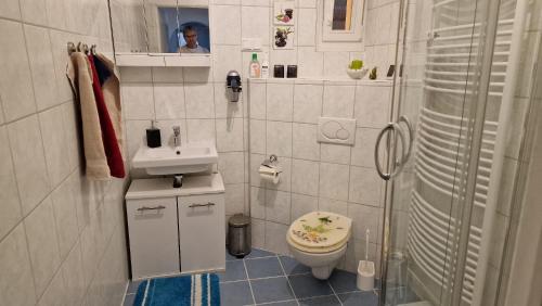 Un pequeño baño con inodoro y ducha. en Ferienwohnung an der Sommerliede, en Hohenroda