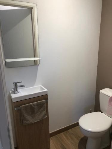 a bathroom with a toilet and a sink and a mirror at Maison d'hôtes à Saix in Saix
