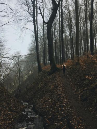 Paesaggio naturale nelle vicinanze dell'hotel