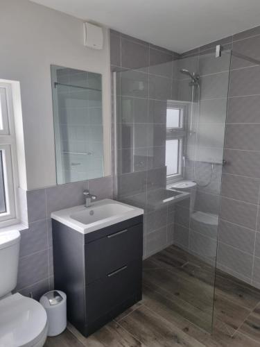 a bathroom with a sink and a shower and a toilet at Moorefield Villa Newbridge in Newbridge