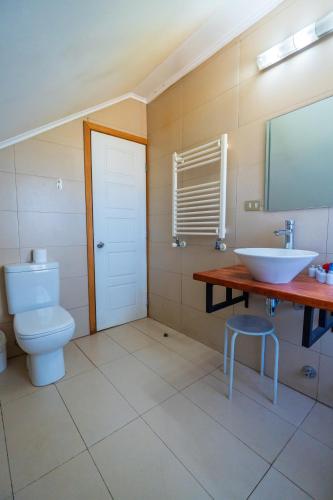a bathroom with a toilet and a sink at Hotel San Giorgio in Capitán Pastene