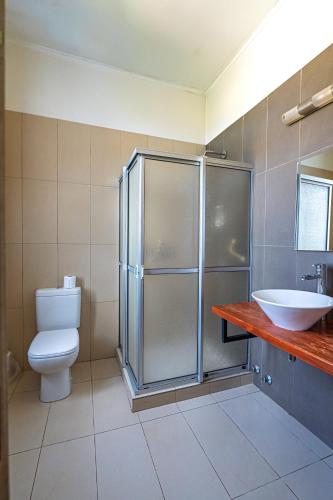 a bathroom with a shower and a toilet and a sink at Hotel San Giorgio in Capitán Pastene