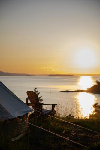 a bench sitting next to a tent next to the water at Glamping - Løvøya Oslofjord in Horten