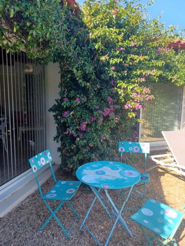 two chairs and a table next to a hedge with flowers at Monic in Souraïde