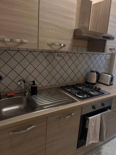 una cocina con fregadero y estufa horno superior en Europa Apartment Centro, en Montesilvano