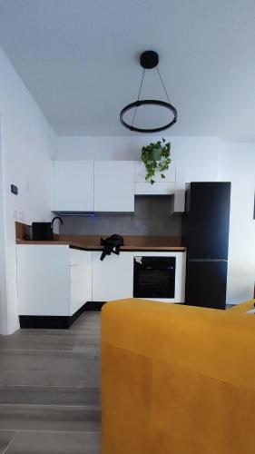 BauHaus Torino photo 5