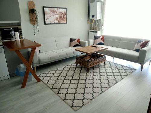 a living room with a couch and a coffee table at Ankara Esenboğa Airport Luxury Apart Concept in Ankara