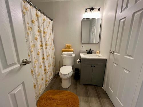 a bathroom with a toilet and a sink and a mirror at 4 Bed Ranch-Fire Pit-Pet & Kid Friendly-King Bed-Arcade in Columbus
