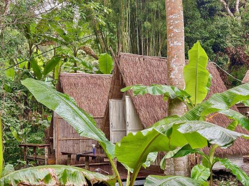 Κήπος έξω από το PimSook Homestay Riverside w bathtub ที่พักแม่แตง