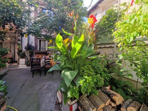 Taman di luar Guest House Fig
