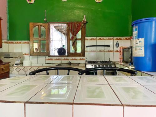 a kitchen with green walls and a white counter top at Casa AnaMar in Moyogalpa