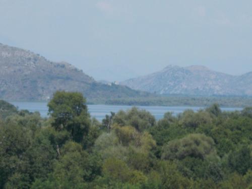 a view of a lake with mountains in the background at Guesthouse Feel Lake in Virpazar