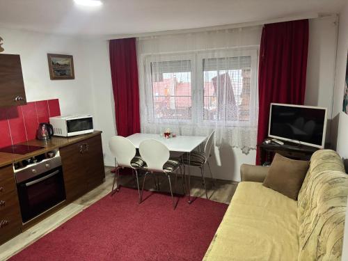 Kuchyň nebo kuchyňský kout v ubytování Apartman Delfin