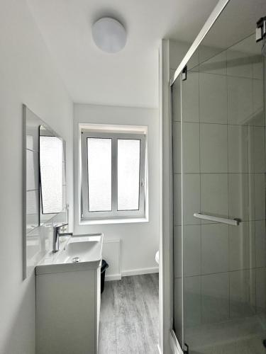 Un baño con lavabo y ducha de cristal. en Cozy and bright Perfect stay in Bischheim, en Bischheim
