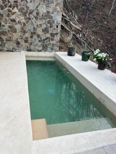a swimming pool with two potted plants next to it at Villa Xololo Luxury Villa, La Boquilla Beach in Arroyo Cruz