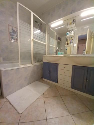 a bathroom with a sink and a tub and a mirror at Chambres chez l'habitant in Meudon