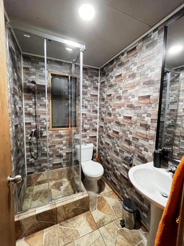 a bathroom with a shower and a toilet and a sink at Apartamentos Natales May 21 in Puerto Natales