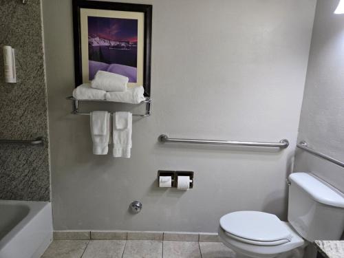 a bathroom with a toilet and a bathtub and towels at Lotus Inn in Albany
