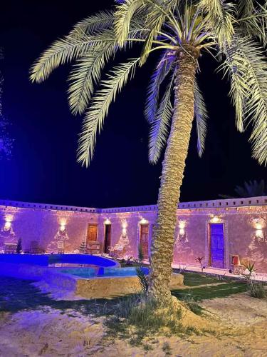The Green Siwa Hotel