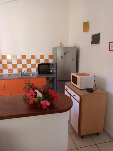 a kitchen with a counter top with a refrigerator at Residence Corail in Sainte-Rose