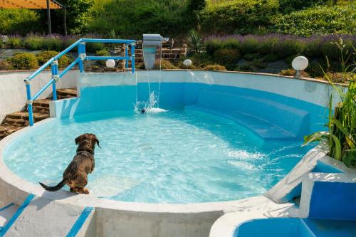 Piscina en o cerca de Agriturismo Carincone