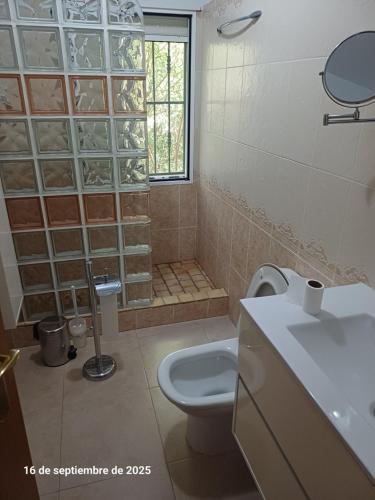 a bathroom with a toilet and a sink and a shower at Cortijo del carmen in Moratalla