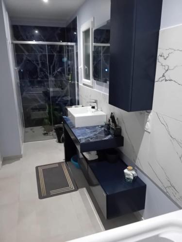 a bathroom with a sink and a shower at Villa Kentève in Parentis-en-Born