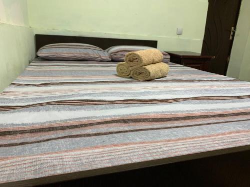 Gallery image of AviaHostel in Tashkent International Airport