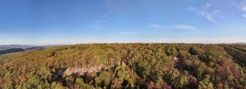 an aerial view of a forest of trees at Mountaintop Views, Hot Tub, Deck, Fire Pit & WiFi in Augusta