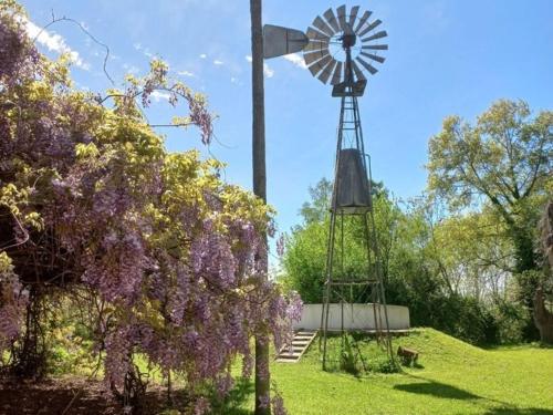 Jardín al aire libre en Chacra del Molino