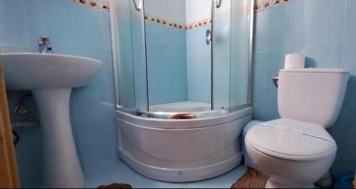 a bathroom with a toilet and a shower and a sink at Villa Girska Sonata in Mykulychyn