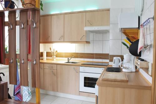 a small kitchen with wooden cabinets and a sink at Pension Pieschen Dresden in Dresden