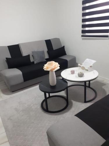 Posezení v ubytování Apartman Cirkic