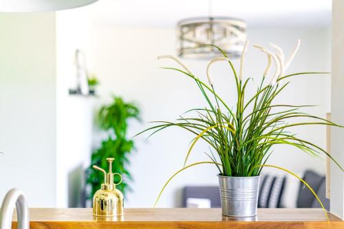 a potted plant sitting on top of a table at Short North Convention Private Parking Pets! in Columbus