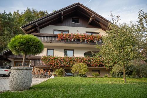 Apartments Artemida